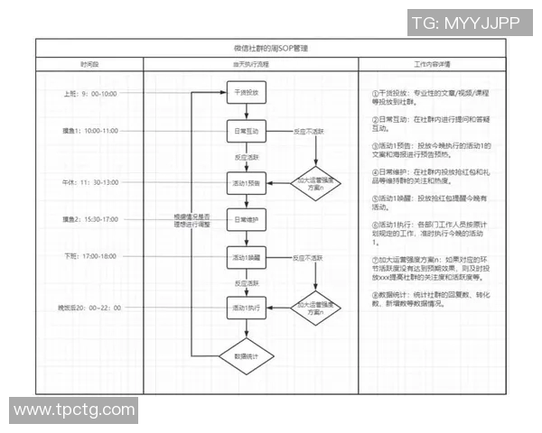 重庆排球队战术解析与运营体系创新研究