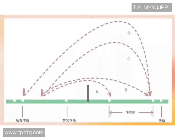 陈娜独家分享羽毛球技巧与心得助你提升球技的全面指南