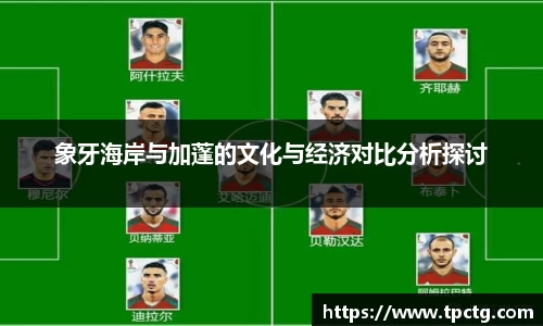 象牙海岸与加蓬的文化与经济对比分析探讨